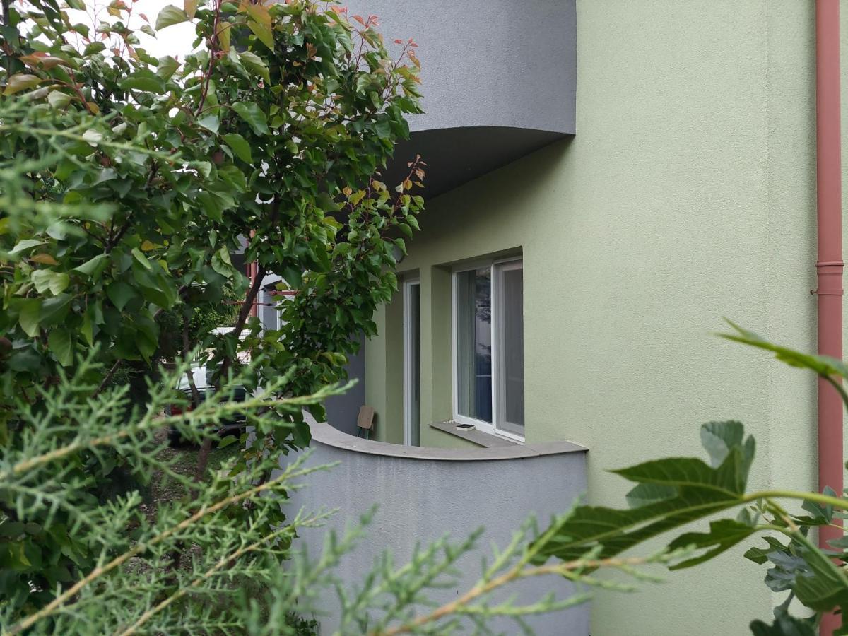 Mateski Guest House Ohrid Exterior photo