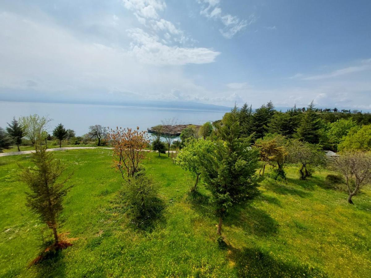 Mateski Guest House Ohrid Exterior photo