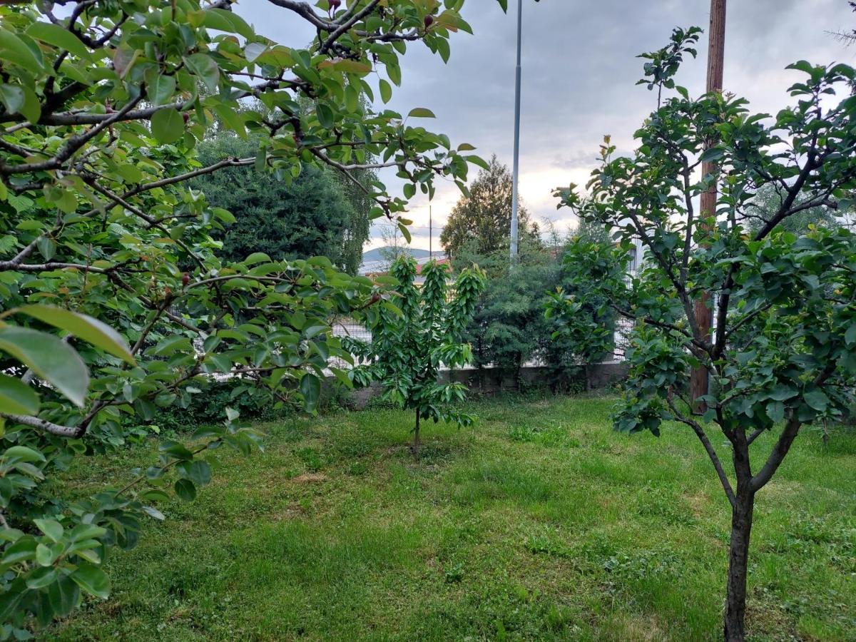 Mateski Guest House Ohrid Exterior photo
